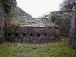shannonbridge cap-1156.jpg